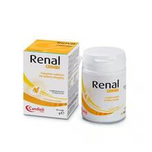 Candioli Renal Combi pulber neerufunktsiooni toetamiseks, koertele ja kassidele, 70 g