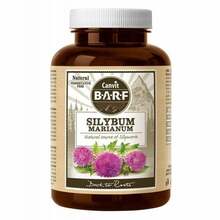Canvit Silybum Marianum toidulisand koertele, 160 g