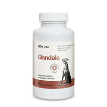 Lab-V Glandala toidulisand koertele, 90 kapslit