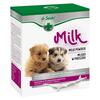 Dermapharm Dr Seidel asendpiim kutsikatele pudelitega, 0,3 kg