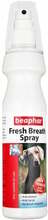 Hingeõhu värskendaja pihusti loomadele Beaphar, 150 ml