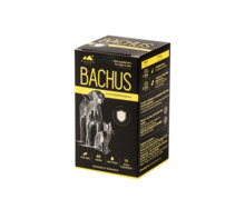 Bachus Immunity & Resistance toidulisand koertele ja kassidele, 60 tbl