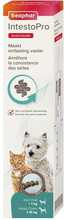 Beaphar IntestoPro S pasta koertele/kassidele, 20 ml