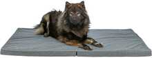Madrats koertele Trixie Samoa Vital, 120 x 80 cm, tumehall, veekindel
