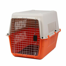 Transpordiboks Zhongshan Kaning Plastic Products Limited, 80 x 31 x 58 cm, oranž