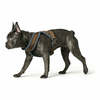 Traksid Hunter London Comfort, S/M, 52-62 cm, pruun