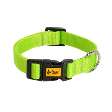 Kaelarihm Dingo Energy, 37-61 cm, roheline