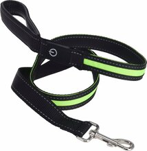 Jalutusrihm Pets Collection LED, 120 cm, oranž