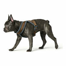 Traksid Hunter London Comfort, S/M, 52-62 cm, pruun