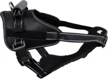Rakmed Aqua Nova PET NOVA RESCUE, M