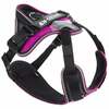 Rakmed Julius K9 IDC Longwalk, XS