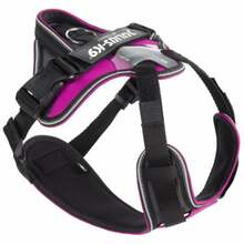Rakmed Julius K9 IDC Longwalk, XS