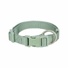 Kaelarihm Trixie Premium, S, 25-40 cm x 15 mm, roheline