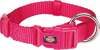 Kaelarihm Trixie Premium, M-L, 350 - 550 mm x 20 mm, lilla