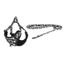 Komplekt Dogness, traksid ja jalutusrihm, Daisy Black