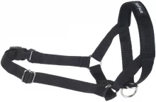 Koonurihm Amiplay Basic, XS, must