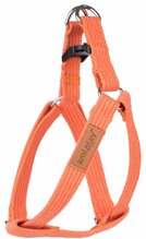 Traksid Amiplay Cotton, XL, 500 - 950 mm x 30 mm, oranž