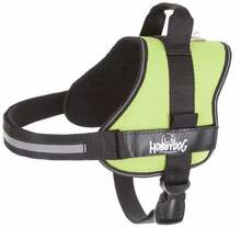 Traksid Hobbydog Julletta, L, 480 - 600 mm x 130 mm, rohelised