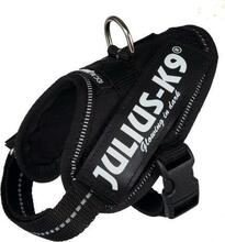 Traksid Trixie Julius-K9 IDC, XS-S, 33-45 cm x 18 mm, must