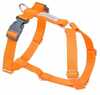 Traksid Amiplay Samba, XL, 650 - 950 mm x 25 mm, oranž