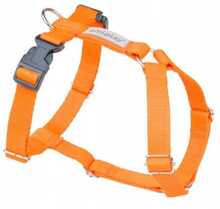 Traksid Amiplay Samba, XL, 650 - 950 mm x 25 mm, oranž