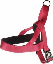 Traksid Flamingo Abbi, XL, 650-800 mm x 25 mm, kirss (punane)