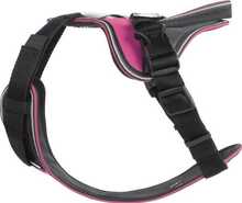 Rakmed Julius K9 IDC Longwalk, L