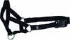 Apnik Trixie Top Trainer, S, 22 cm, must