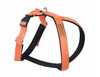 Traksid Amiplay Cotton Grand Soft, L, 500 - 620 mm, oranž