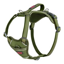 Rakmed Company of Animals Halti Anatomy, L, roheline, 42-65 cm