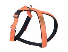 Traksid Amiplay Cotton Grand Soft, L, 500 - 620 mm, oranž