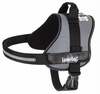 Traksid Hobbydog Julletta, L, 480-600 mm, hall
