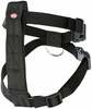 Rakmed Trixie, M, 50-70 cm, must