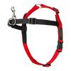 Rakmed Company of Animals Halti Walking Halti, M, 58-86 cm