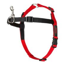 Rakmed Company of Animals Halti Walking Halti, M, 58-86 cm