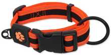 Kaelarihm Placek Active Dog Collar Fluffy, M, 33-48 cm, oranž