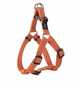 Traksid Rogz Step-In, M, 42-61 cm, oranž