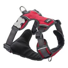 Traksid Red Dingo Padengta Red, M