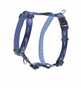 Traksid Rogz Alpinist, S, 23-37 cm, sinine
