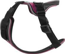 Rakmed Julius K9 IDC Longwalk, M