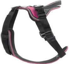 Rakmed koertele Julius K9 IDC Longwalk, XL