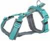 Rakmed Trixie Premium Trekking, M/L, grafiit ja helesinine, 62-74 cm