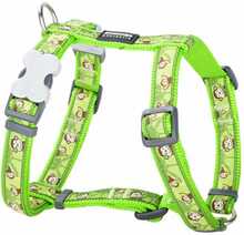 Rakmed Dingo Style Monkey Lime, L, 36-54 cm, roheline