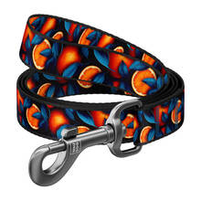 Jalutusrihm Waudog, 122 cm, muster Oranges