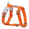 Rakmed Red Dingo Lygus, 25-39 cm, oranž