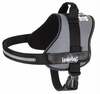 Traksid Hobbydog Julletta, XL, 570-700 mm, hall