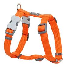 Rakmed Red Dingo Lygus, 25-39 cm, oranž