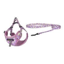 Komplekt Dogness, traksid ja jalutusrihm, Calamus Pink