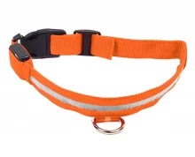 LED valgusega kaelarihm, oranž