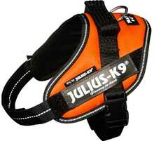 Traksid Julius K9 IDC, Mini, 49-67 cm, UV oranž